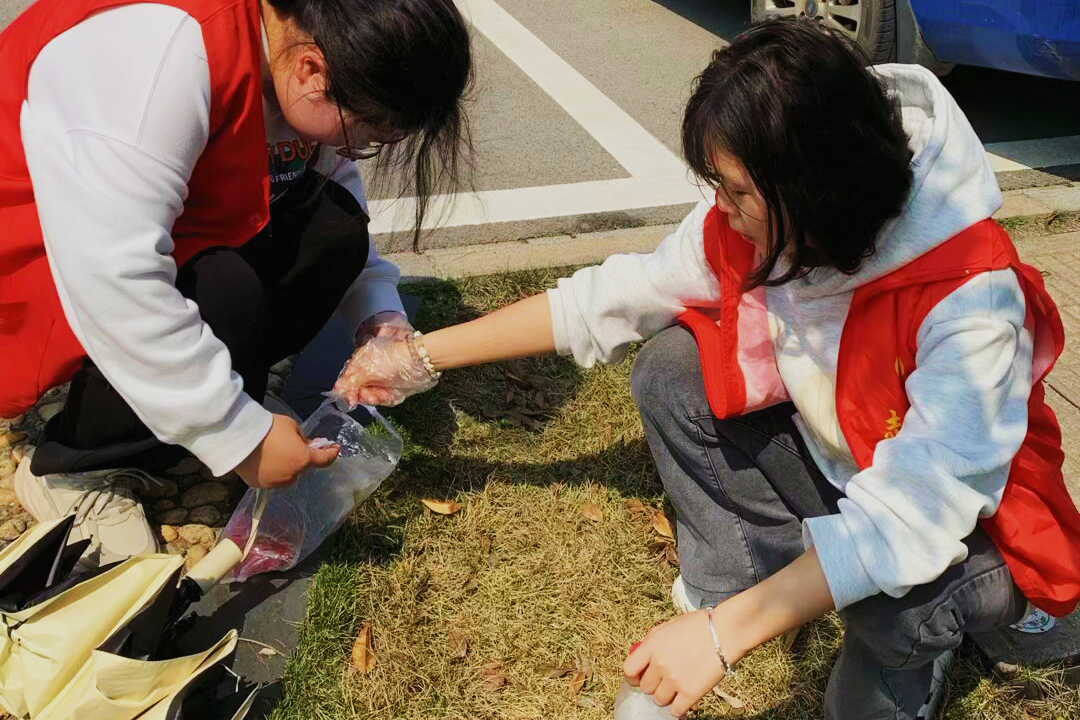 0d9b09422d8a4cb0b785deb9c9673ea1.png